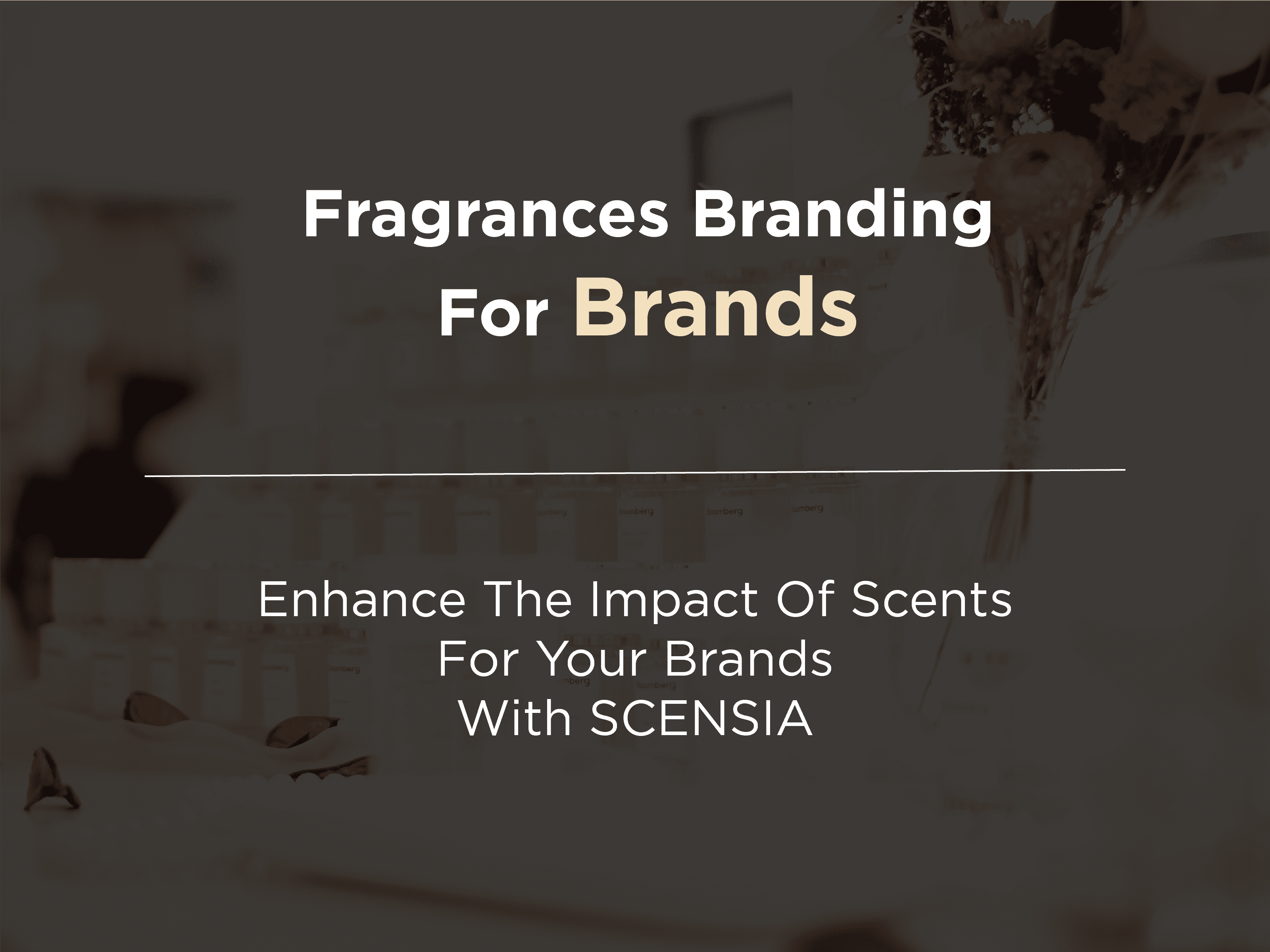 SCENSIA B2B branding and marketing