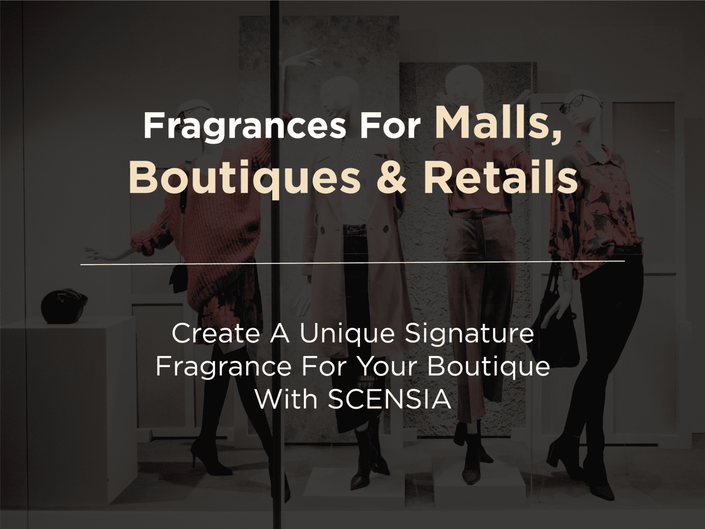 SCENSIA B2B mall retail boutique branding