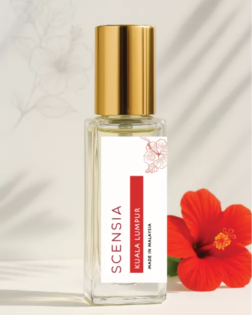 malaysia best buy souvenir